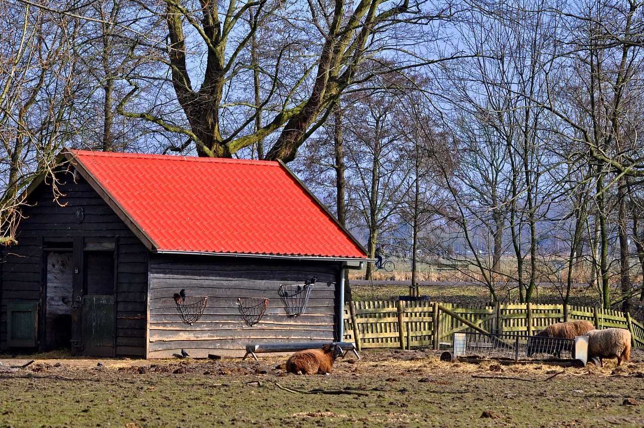 plastic sheds vs. wooden sheds stewart timber