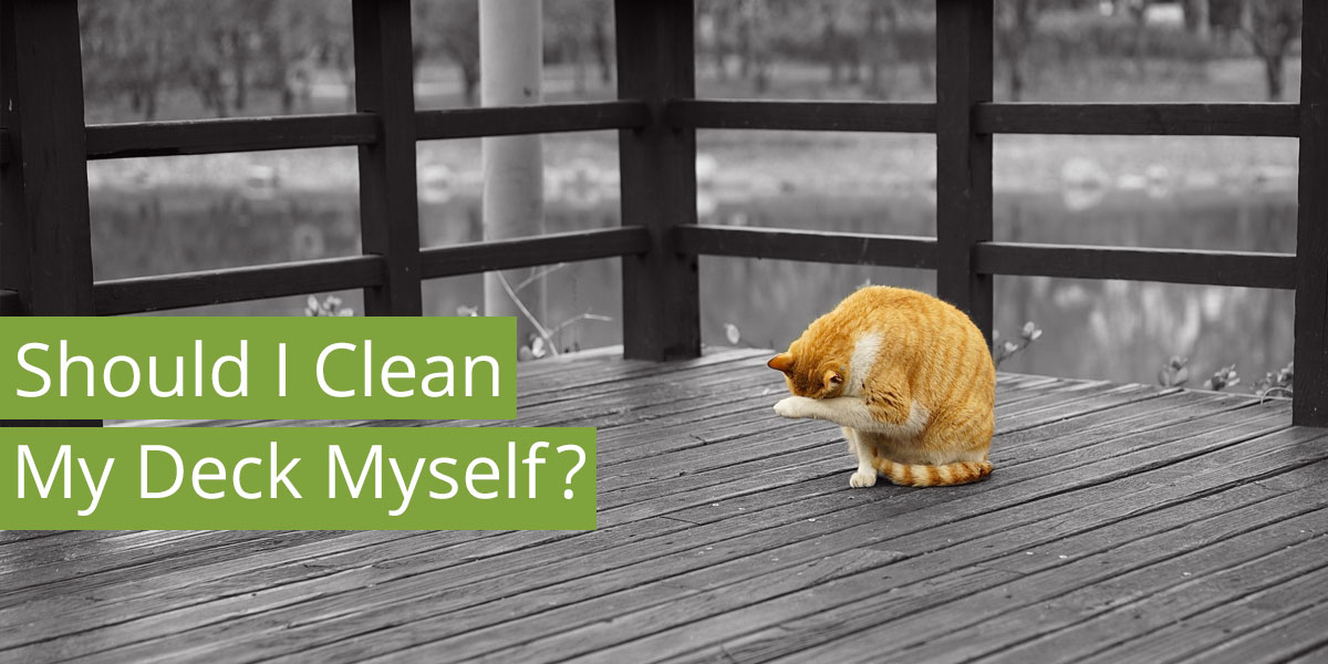 Should I Clean My Deck Myself? Timber Merchant Scotland